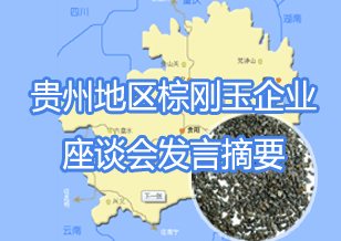 認清形勢 加強交流 調(diào)整結(jié)構(gòu) 深化發(fā)展 貴州地區(qū)棕剛玉企業(yè)座談會發(fā)言摘要