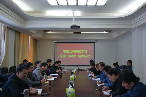 明珠電冶公司傳達(dá)學(xué)習(xí)全國“兩會(huì)”精神暨2019年宣傳工作會(huì)議